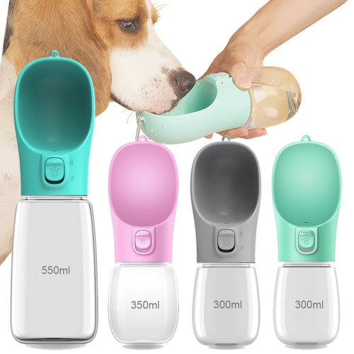 Gourde Portable pour Chien